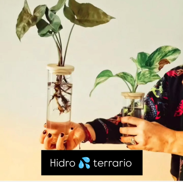 Producto - Hydro Florero Cilindro grande