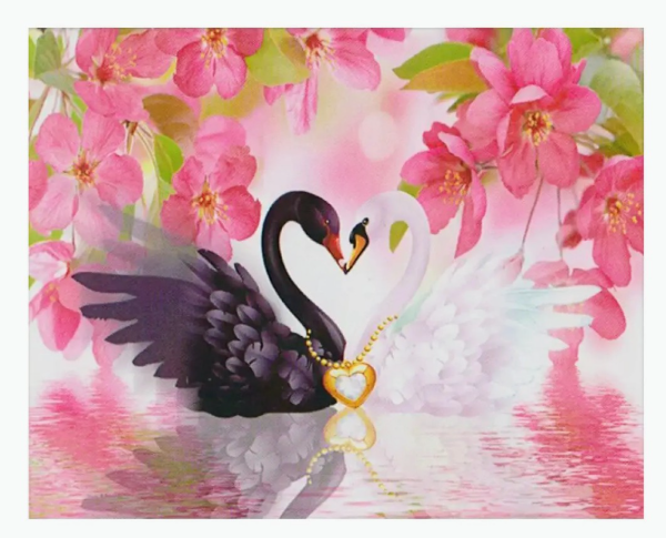 Producto - Kit de pintura por diamante Cisnes 50x40cm