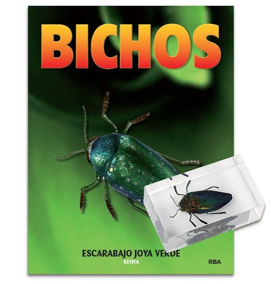 Producto - Escarabajo Joya Verde