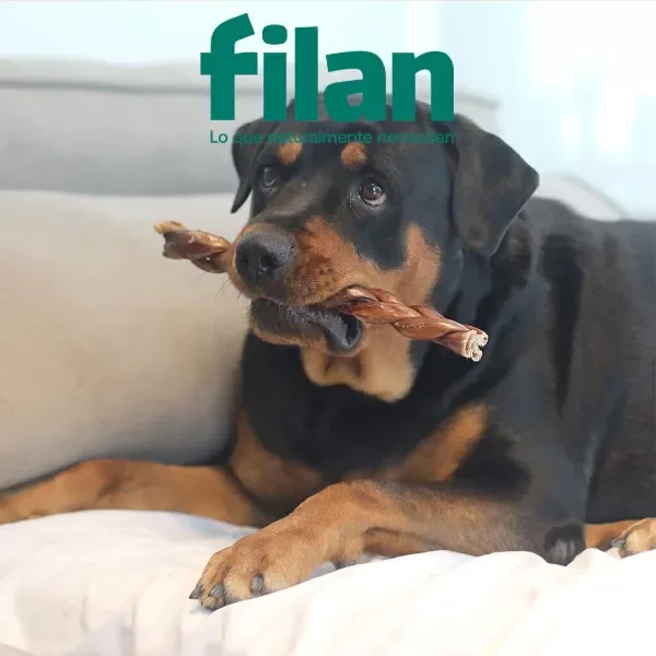 Producto - Mega trenza de esófago vacuno Filan - 1