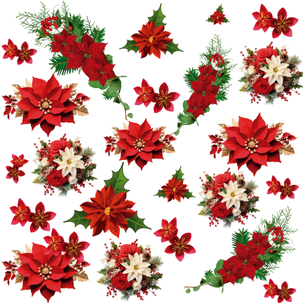 Producto - NAVI - 07