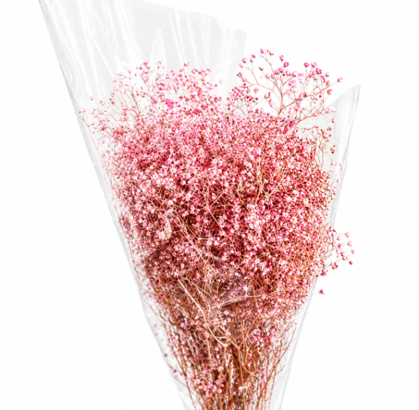 Producto - Ramo Paniculata