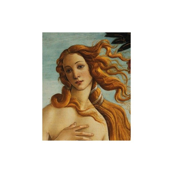 Producto - El nacimiento de Venus