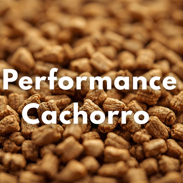 Producto - Performance cachorro  (Granel)