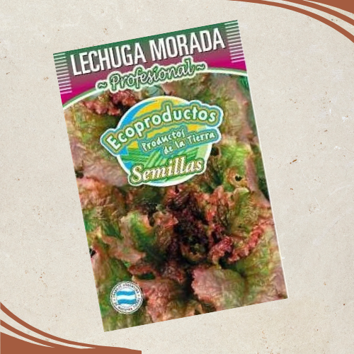 Producto - Semillas de Lechuga Morada