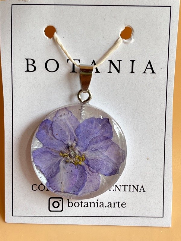 Producto - Variedad 3 violeta