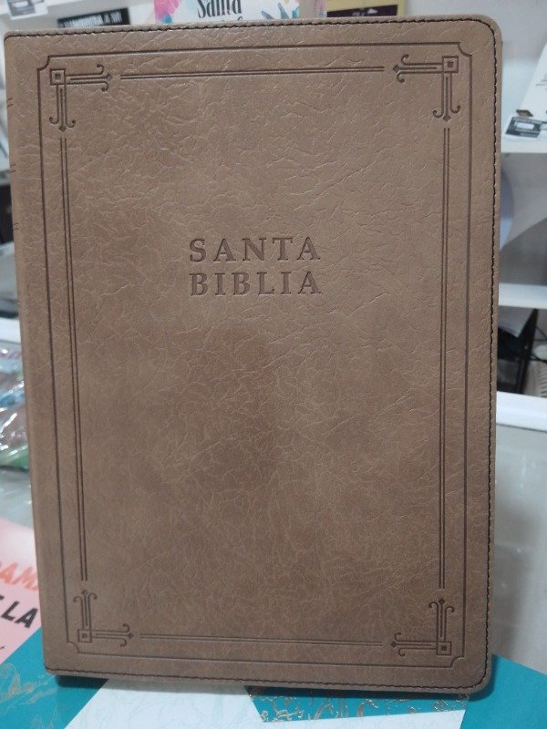 Producto - BIBLIA NTV LETRA GRANDE NUEVA TRADUCCION VIVIENTE