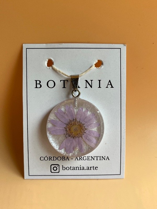 Producto - Margarita 4