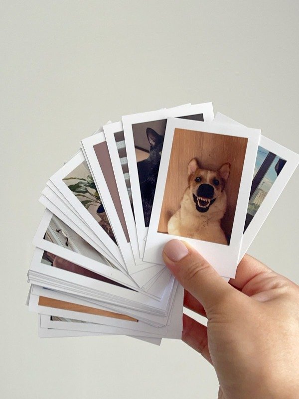 Producto - PROMO POLAROID 6X9 CM. POR 24 UND