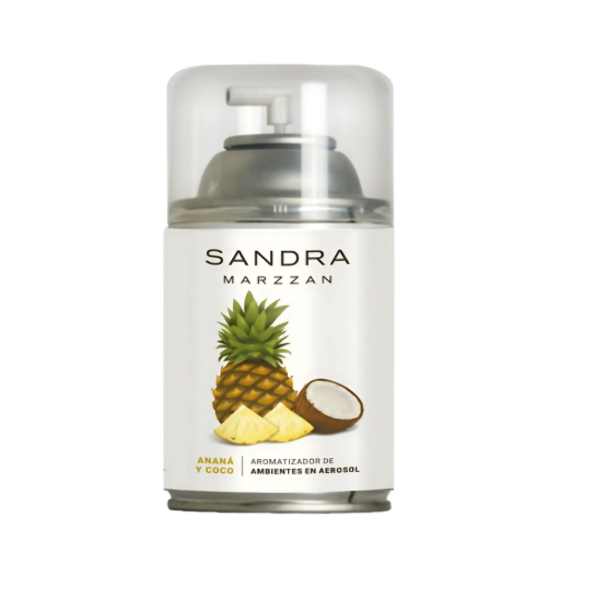 Producto - Aerosoles Anana y Coco