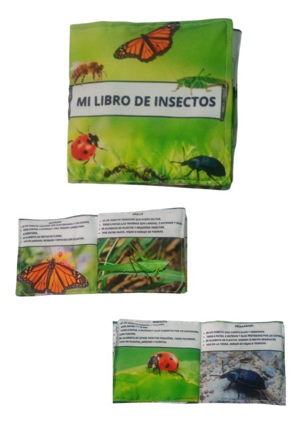 Producto - Libro insectos
