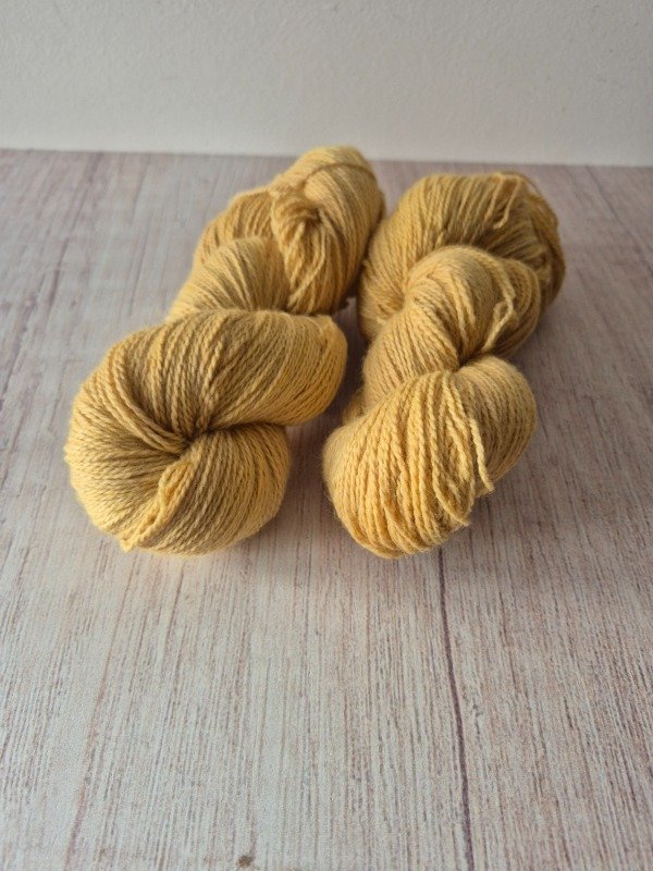 Producto - Diente de león - 1