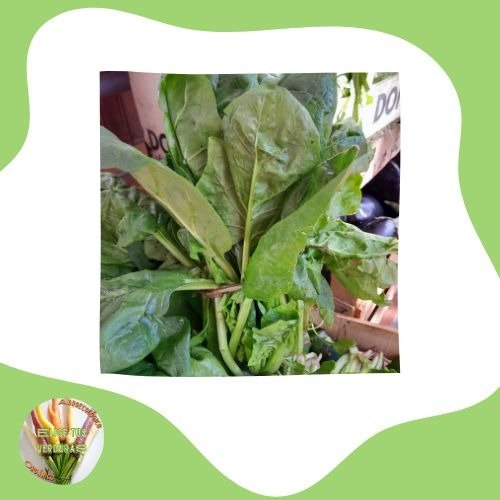 Producto - Espinacas - 1 paquete