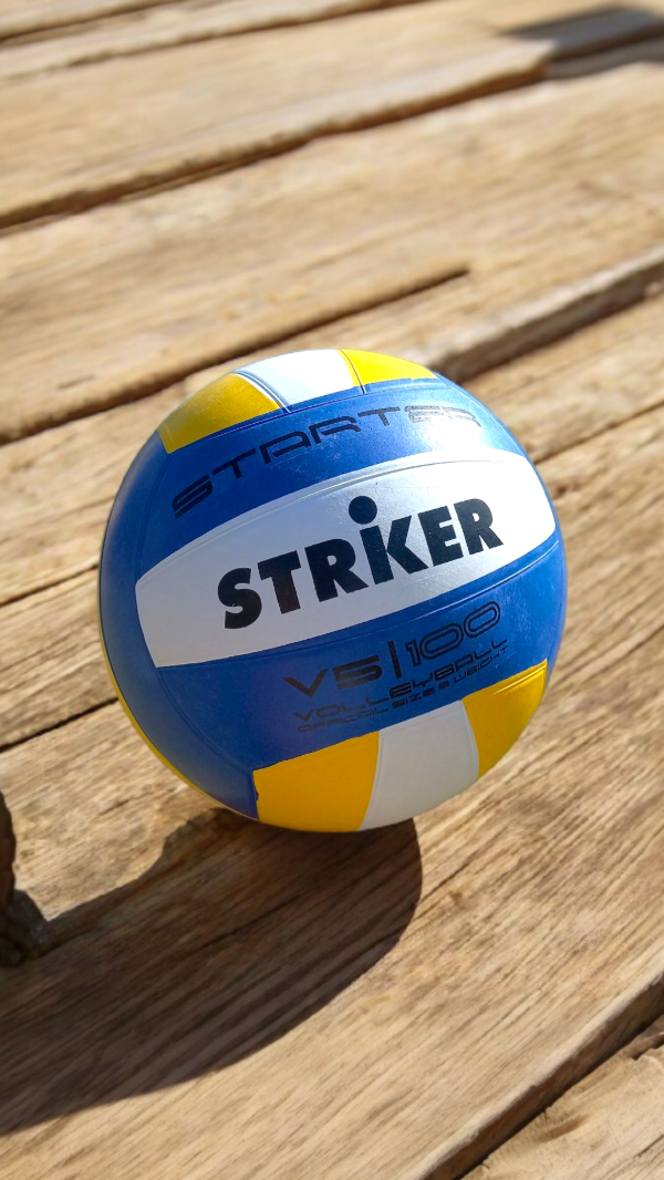 Producto - Pelota de voley
