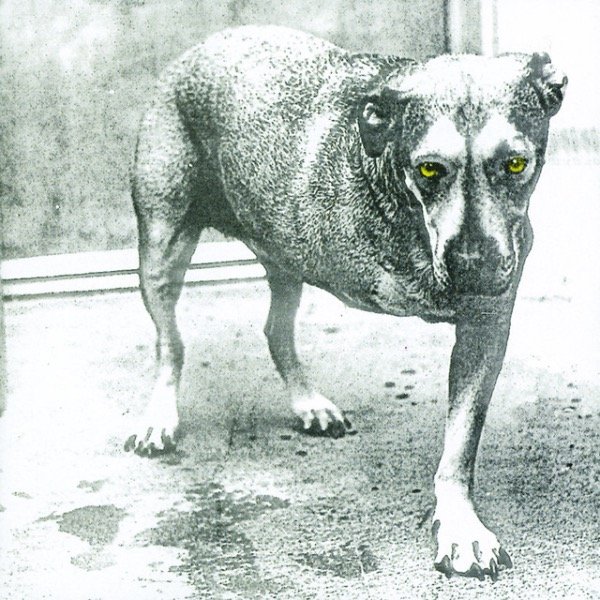 Producto - Alice in chains - Alice In chains