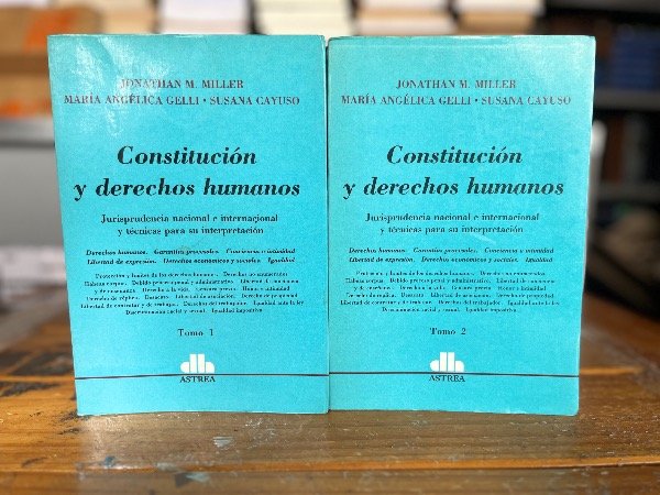 Producto - Constitución y Poder Político / Constitución y Derechos Humanos