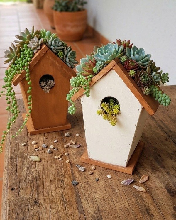 Producto - Casita (maceta) de madera para suculentas