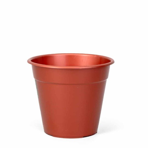 Producto - BERUPLAST CLASICA 18