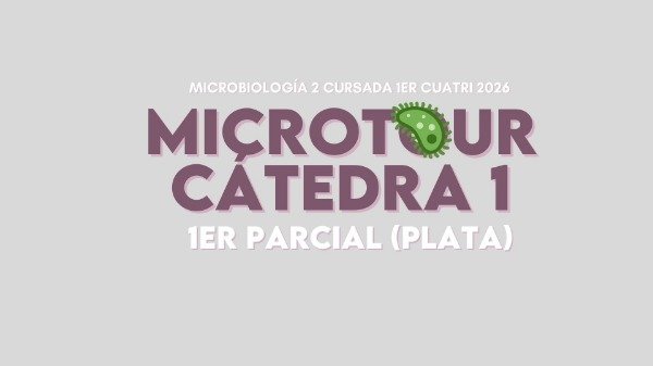 Producto - MICRO 2 CÁTEDRA 1 PLATA (1er parcial)