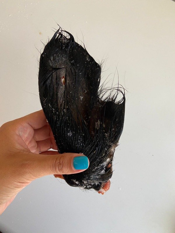 Producto - Oreja de vaca