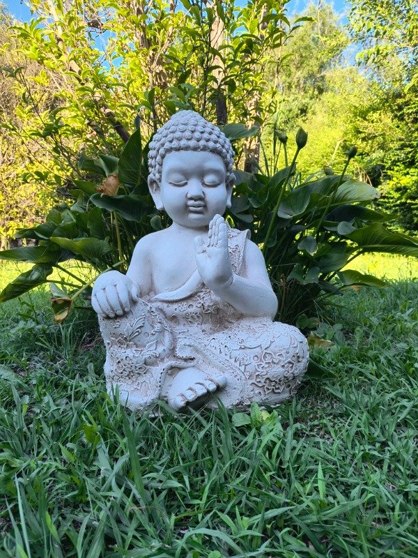 Producto - BUDA MILO