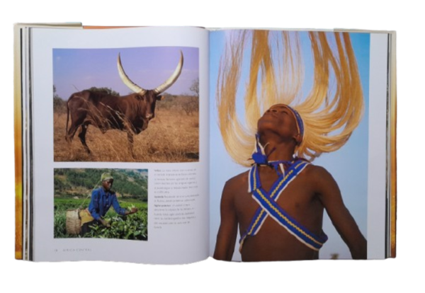 Miniatura de producto - 12