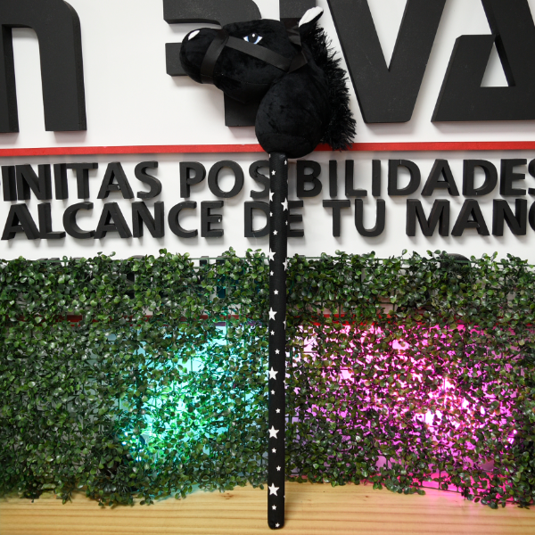 Producto - CABALLO CON PALO Y SONIDO TW-2201