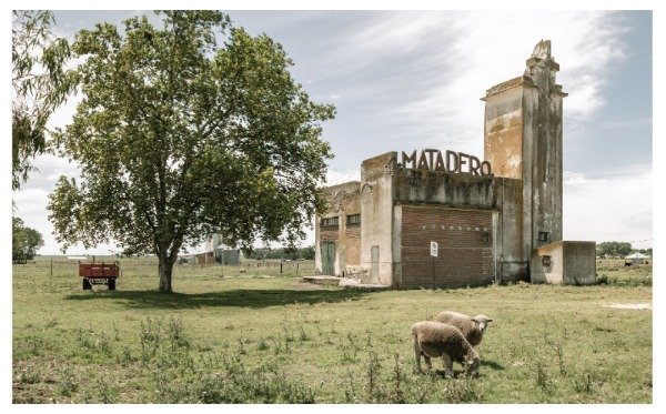 Producto - Postal Matadero de Chillar