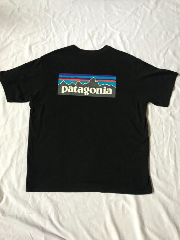 Producto - Patagonia big logo tee.