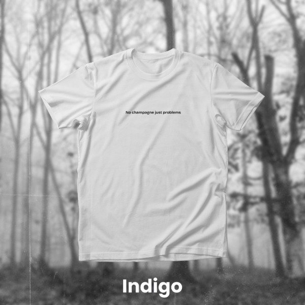 Producto - No champagne just problems