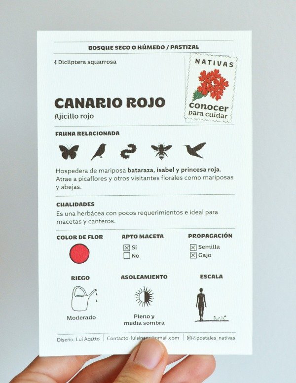 Producto - Postal - Canario rojo - 1