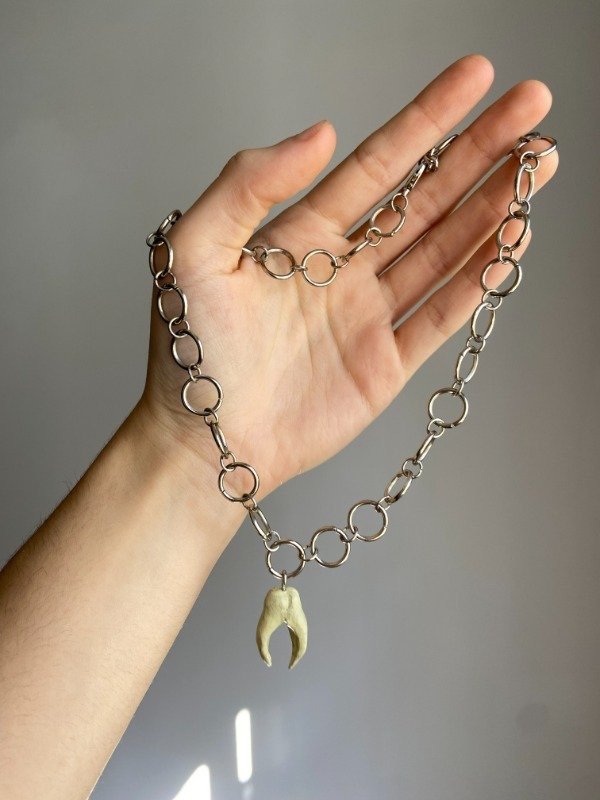 Producto - collar diente