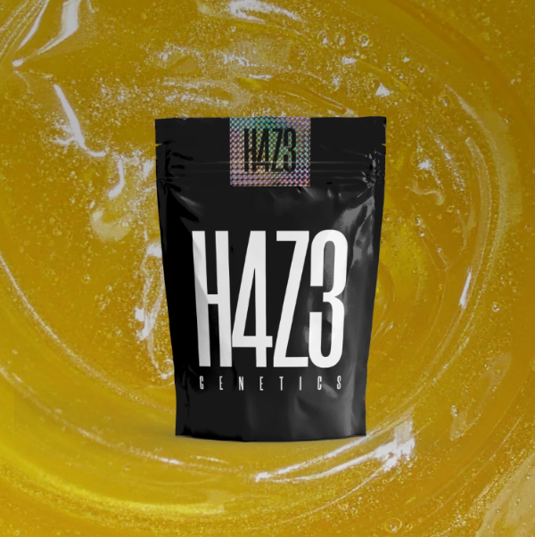 Producto - H4ZE Poxi Runtz Autofloreciente x4