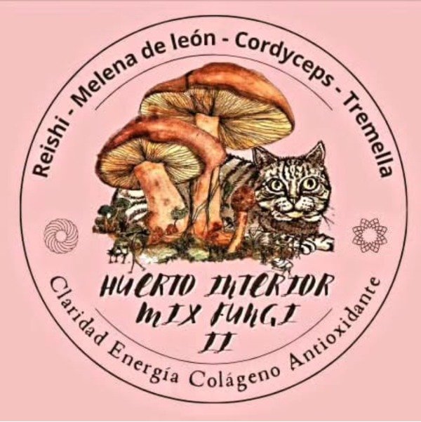 Producto - MIX FUNGI II - Reishi - Melena de León - Cordyceps - Tremella
