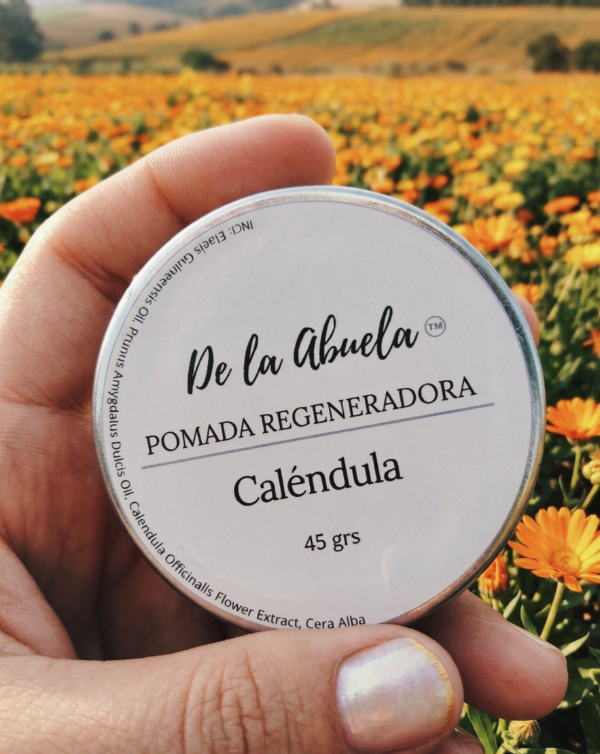 Producto - Pomada cicatrizante y reparadora de calendula