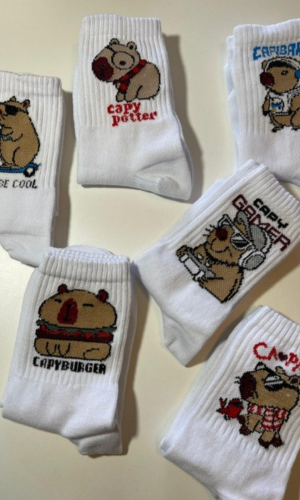 Producto - MEDIAS TENIS DISEÑO CAPIBARA