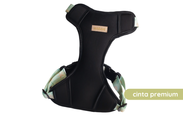 Producto - Arnés H Reina