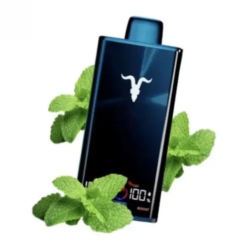 Producto - IGNITE V300 MENTHOL (MENTA) 50MG