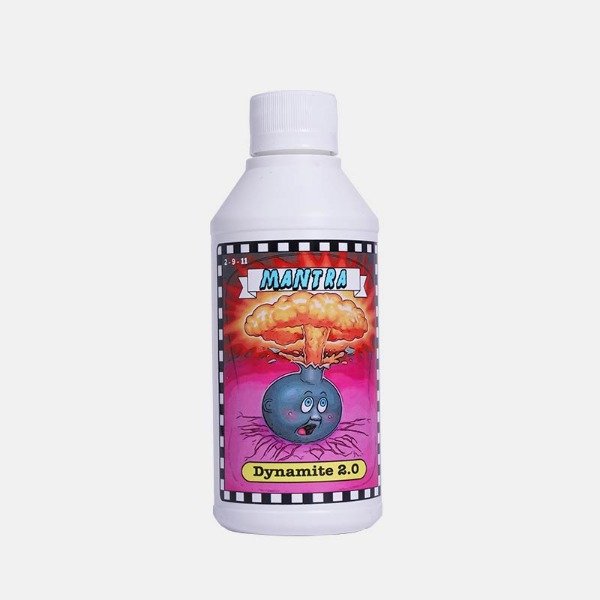 Producto - MANTRA DYNAMITE  2.0 FLORACIÓN