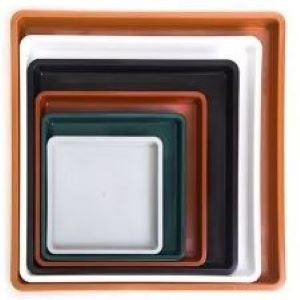 Producto - Plato Cuadrado