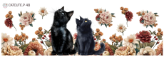 Producto - CATCUTE.P 4B UV