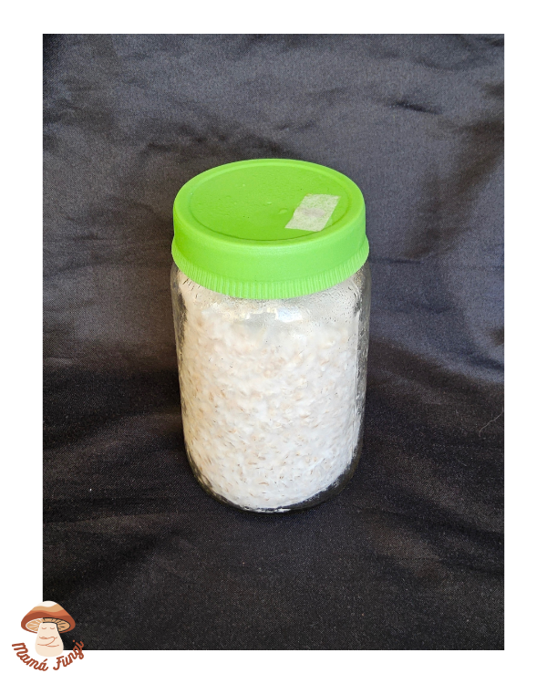 Producto - Micelio en Grano