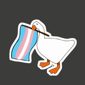 Producto - Pato, con bandera trans 48