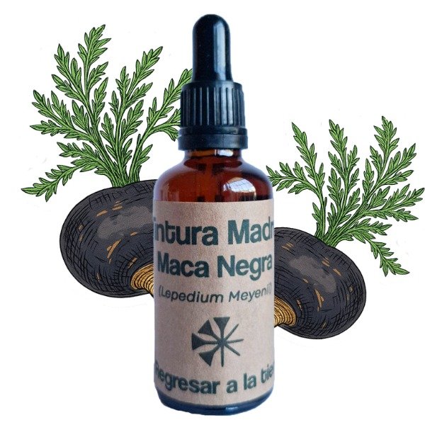 Producto - Tintura Madre de Maca Peruana Negra 50ml