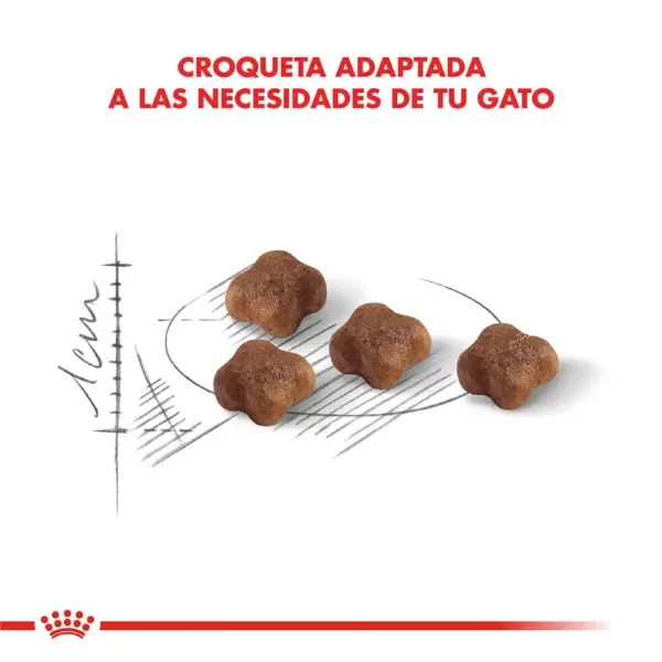 Producto - Alimento Royal Canin Gato Mother y Babycat - 1,5 Kg - 3
