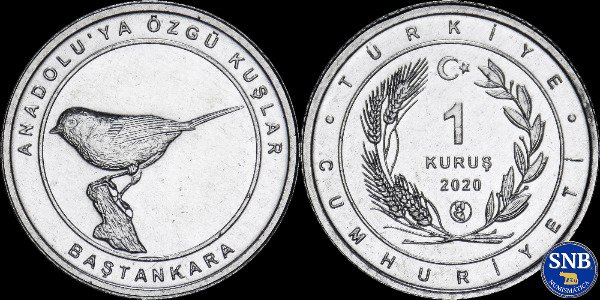 Producto - Turquía - 1 Kurus (2020) - Serie Pájaros de Anatolia: Herrerillo común