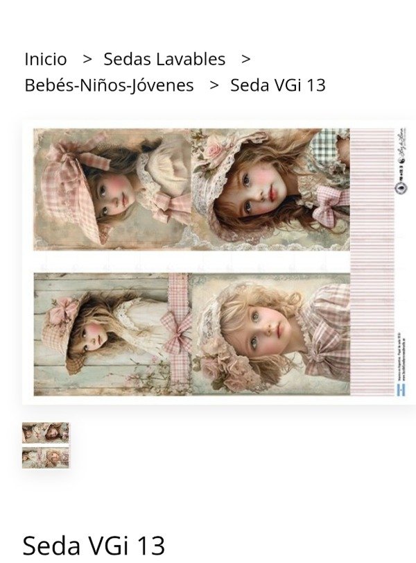 Producto - VGI NENAS VINTAGE  XXL 13