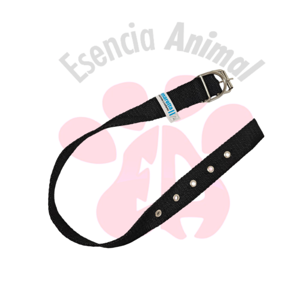 Producto - Collares