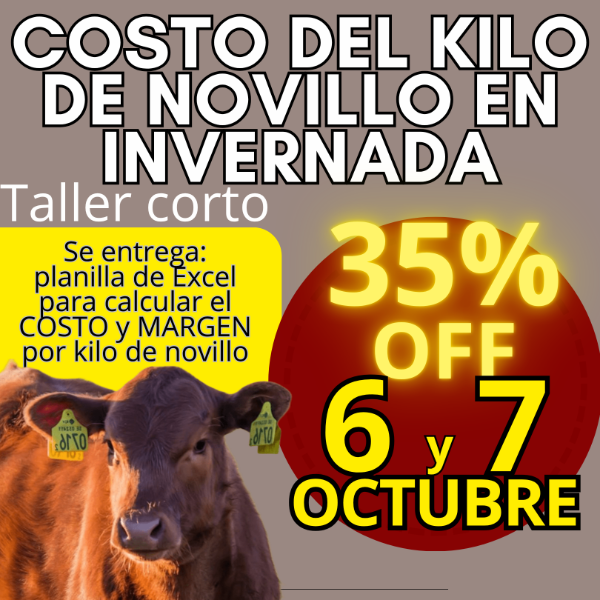 Producto - Taller corto: cálculo del costo del kilo de novillo - 0