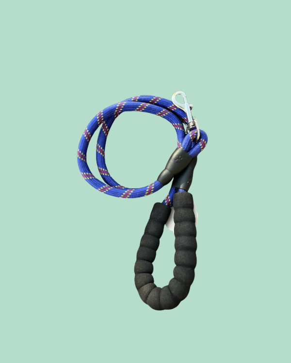 Producto - Correa Alpina con Manija Neoprene